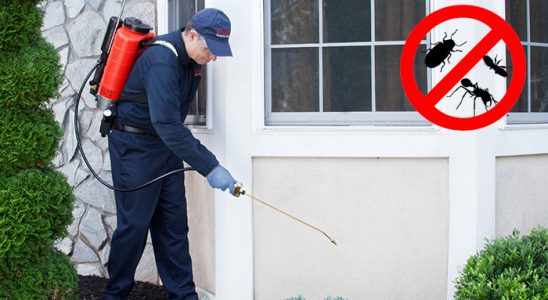 Nazımiye Bit İlaçlama böcek ilaçlama ve haşere kontrolü — ilaclama-tr.com